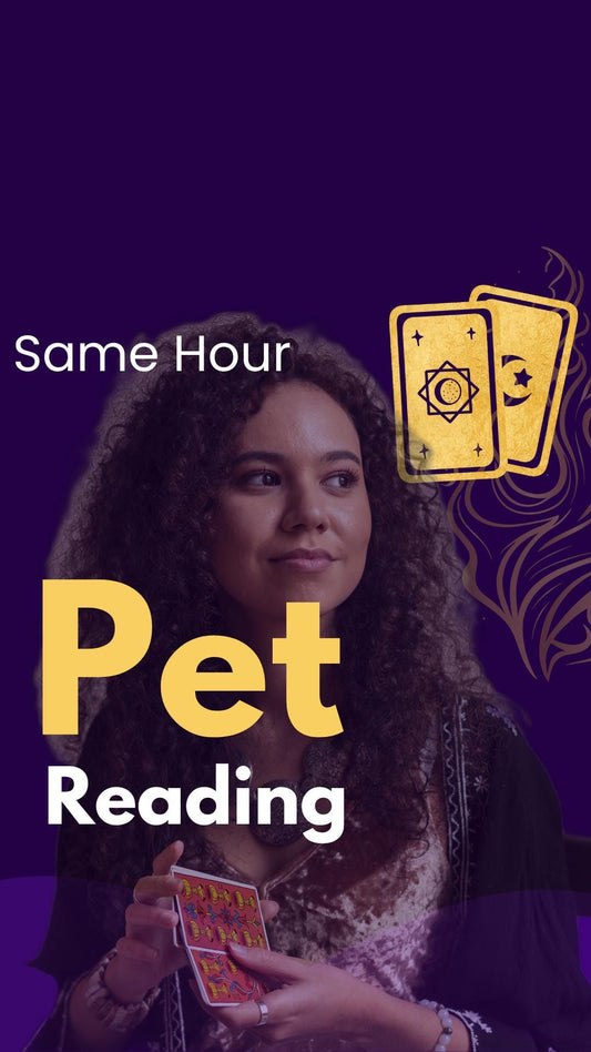 Pet Reading | Psychic Animal Communication | Intuitive Energy Reading for Pets | Connect with Your Pet’s Emotions & Needs | Same Day Insight